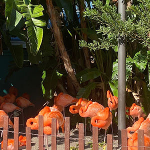 Meet your Posher, Lily